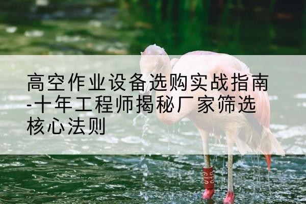 德城剪叉式升降机厂家-高空作业设备选购实战指南-十年工程师揭秘厂家筛选核心法则