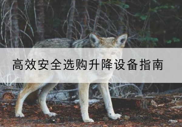 德城升降货梯厂家推荐-*安全选购升降设备指南