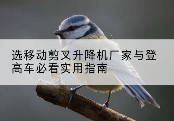 德城电动升降机厂家-选移动剪叉升降机厂家与登高车必看实用指南