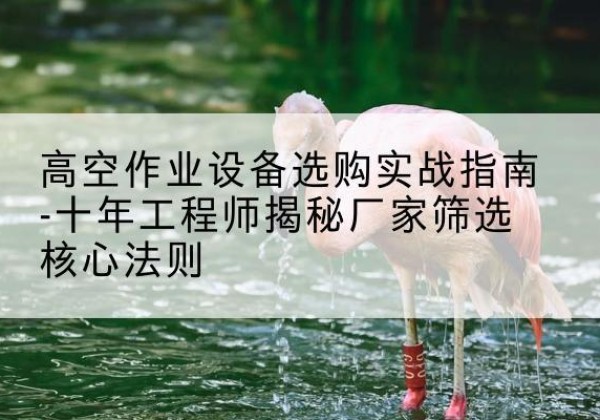 德城剪叉式升降机厂家-高空作业设备选购实战指南-十年工程师揭秘厂家筛选核心法则