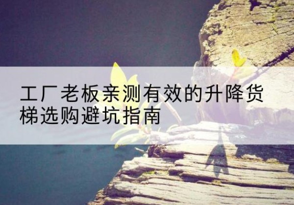 德城升降货梯怎么选-工厂老板亲测有效的升降货梯选购避坑指南